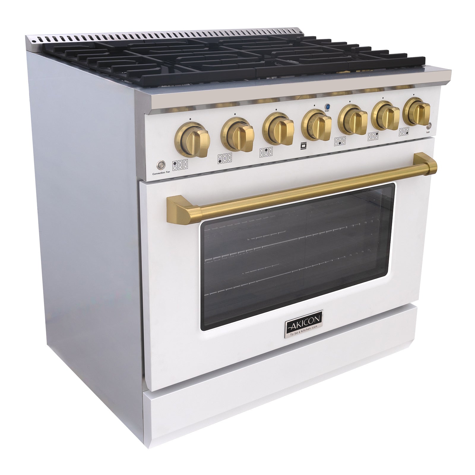 6 Burner Gas Stove