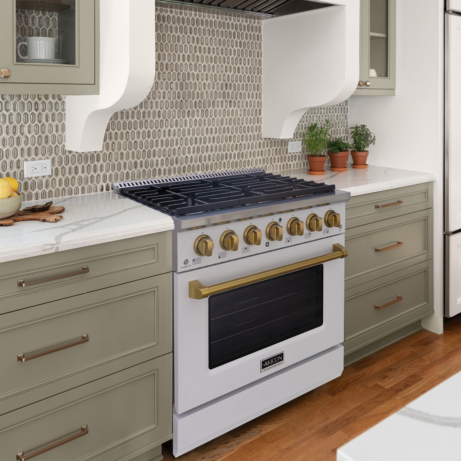 Propane Stove