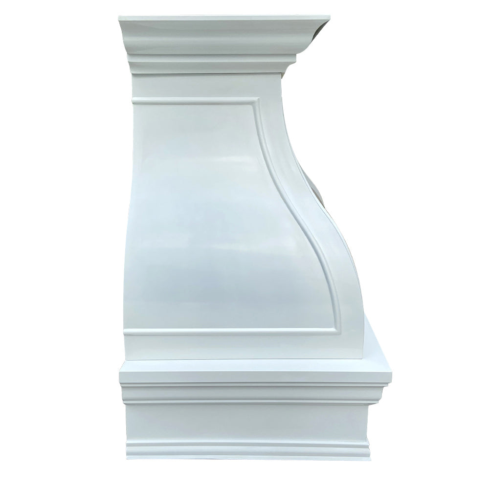 Stainless steel range hood