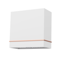 Akicon 30" Stainless Steel Wall Mount Range Hood with 600 CFM Vent Hood - AK-HS30HA-SW