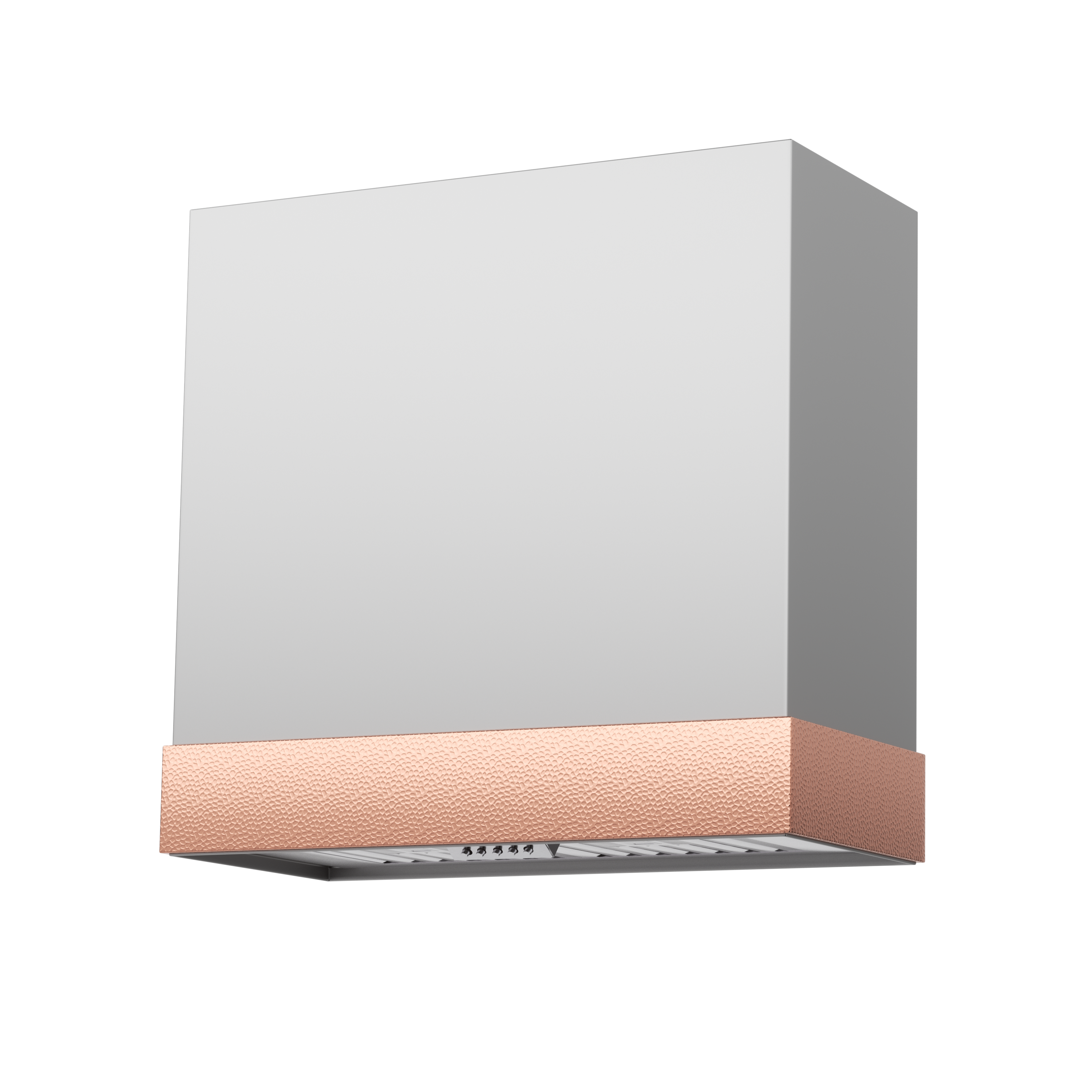 Akicon 30" Stainless Steel Wall Mount Range Hood with 600 CFM Vent Hood - AK-HS30HD-BS