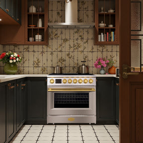 36” Freestanding Gas Range with 6 Sealed Burners Cooktop, Natural Gas/LP Convertible - AK-G36N05A-BS