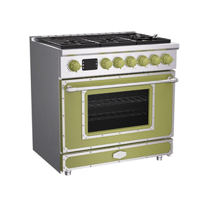 36 Inch Freestanding Custom Gas Range with 6 Sealed Burners Cooktop, Rapid Convection Oven, Natural Gas/LP Convertible - AK-G36N05A-2