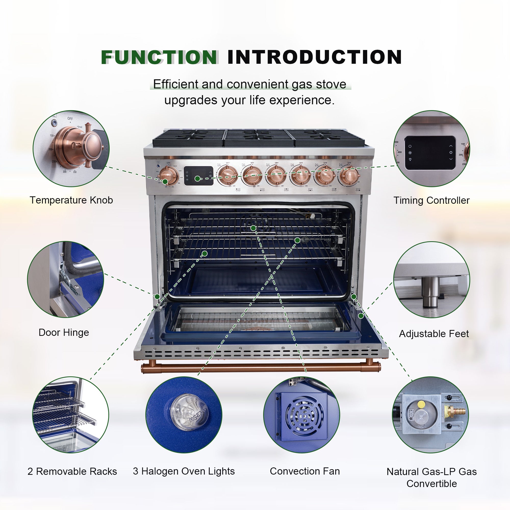 36 Inch Freestanding Gas Range with 6 Sealed Burners Cooktop, Rapid Convection Oven, Natural Gas/LP Convertible