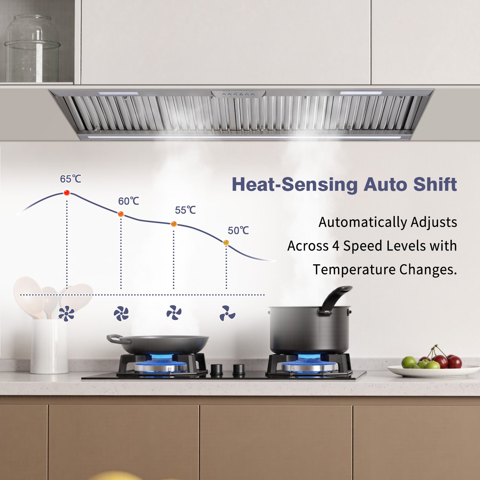 54-inch-hood-insert-high-cfm-stainless