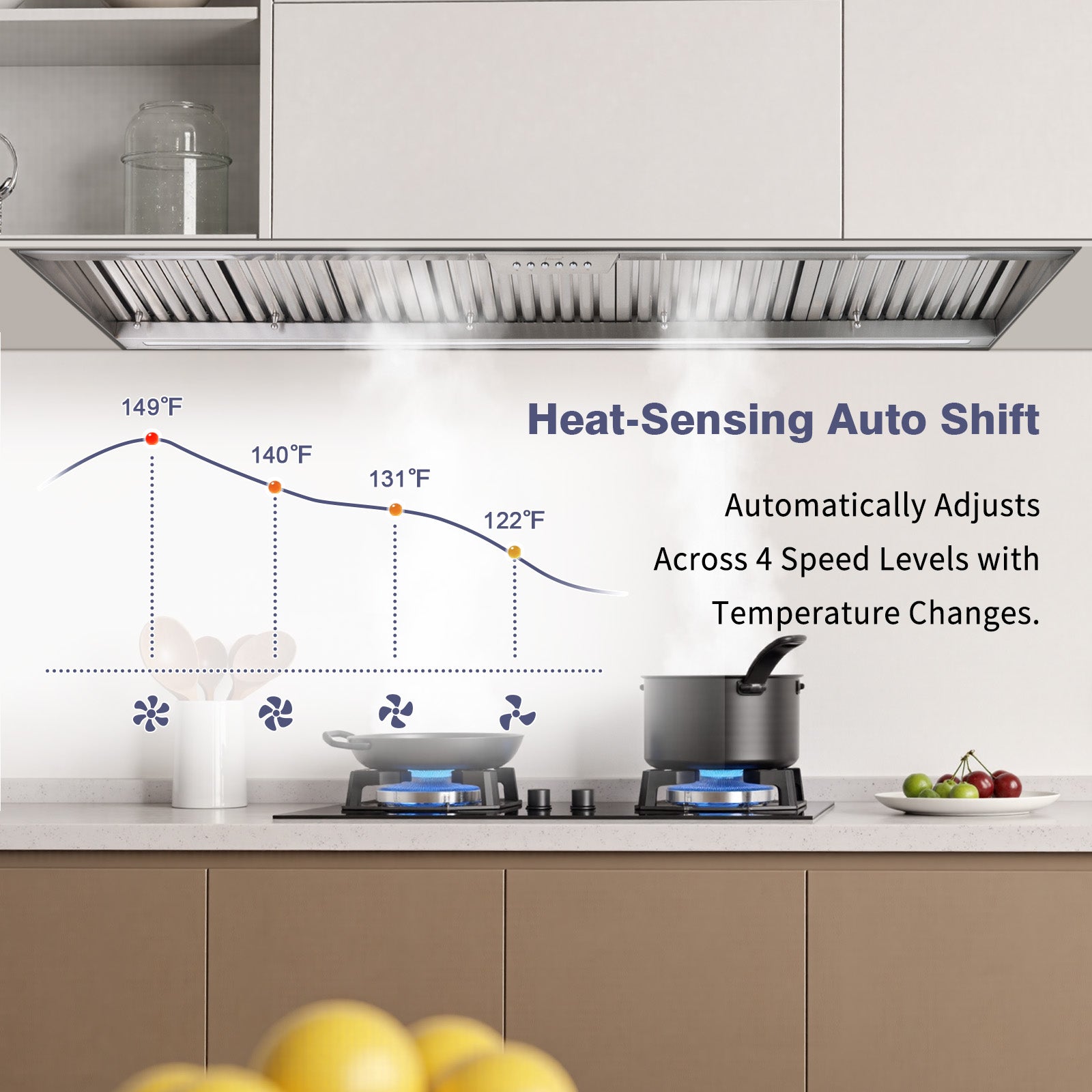 60-inch-hood-insert-with-remote-blower