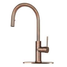 Oil Rubbed Bronze Pull Out Kitchen Faucet with Deck Plate, Single Level Solid Brass Kitchen Sink Faucets with Pull Down Sprayer-AK96416-ORB