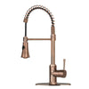 One-Handle Pre-Rinse Spring Copper Kitchen Faucet - AK96566-C