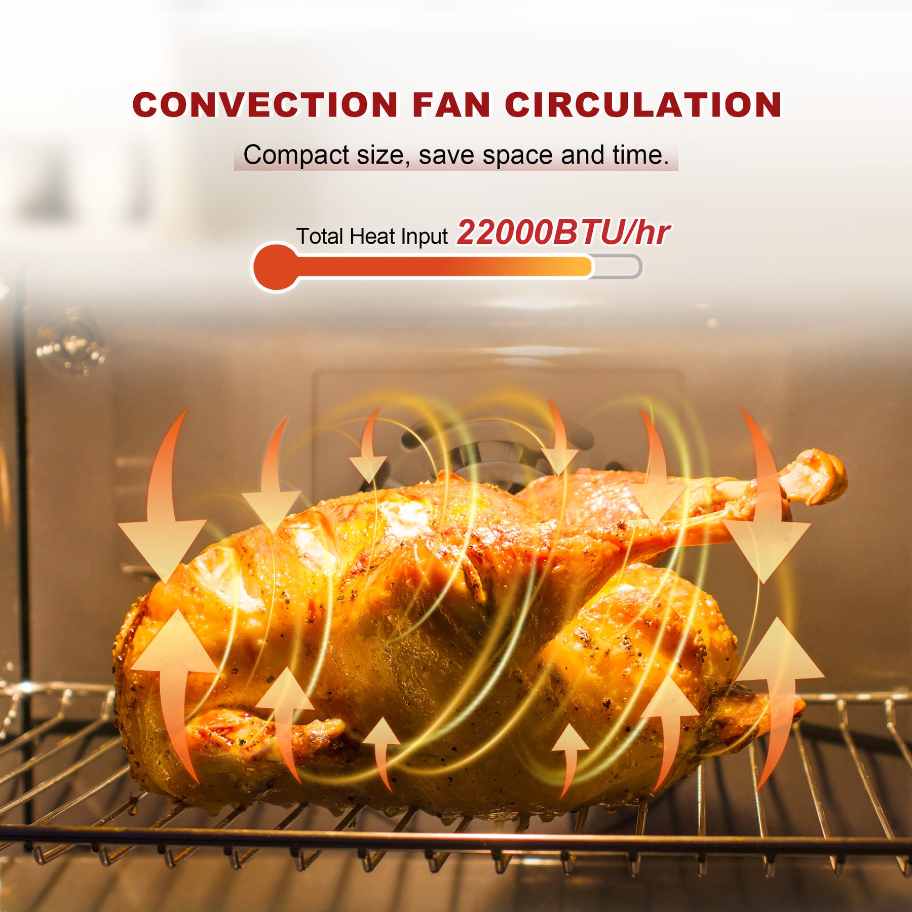 36 Inch Freestanding Custom Gas Range with 6 Sealed Burners Cooktop, Rapid Convection Oven, Natural Gas/LP Convertible - AK-G36N05A-2