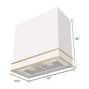 Akicon Range Hood 30” Ultra Quite Stainless Steel Kitchen Hood & Two Stacks, Wall Mount Square Vent Hood with LED Light and Dishwasher-Safe Filters