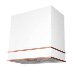 Akicon 36" Stainless Steel Range Hood with 600 CFM Insert & 6-Burner Gas Range Combo – Powerful Ventilation, Convection Oven, Multiple Finishes