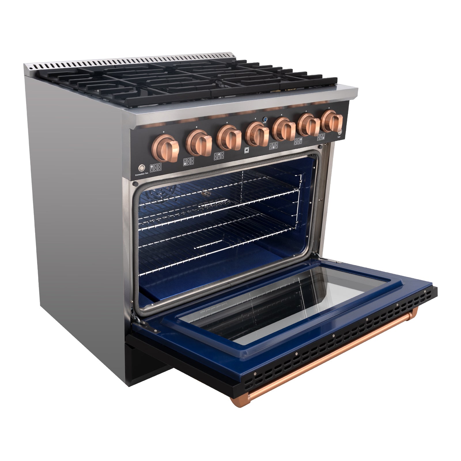 Stainless Steel Gas Range