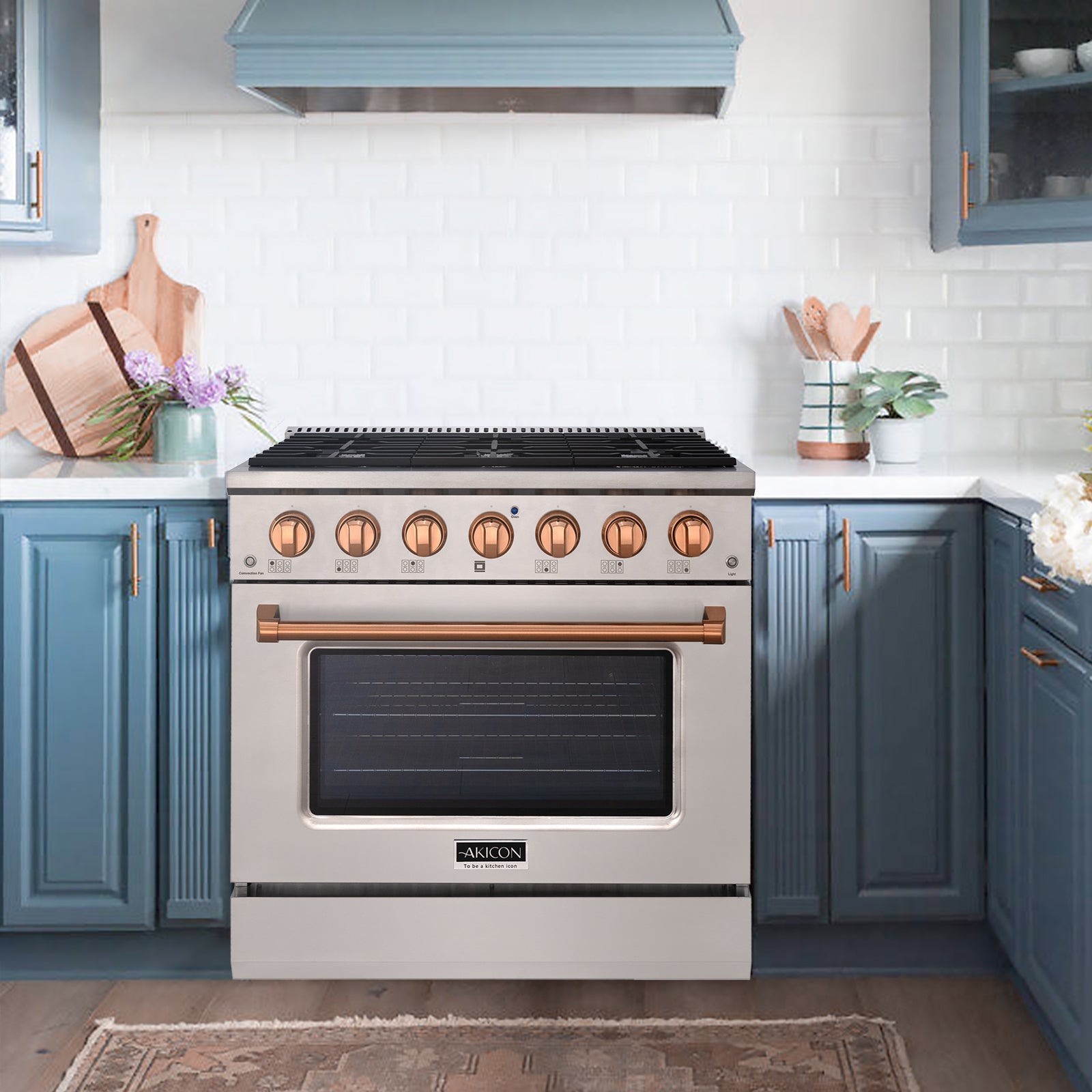 Propane Stove