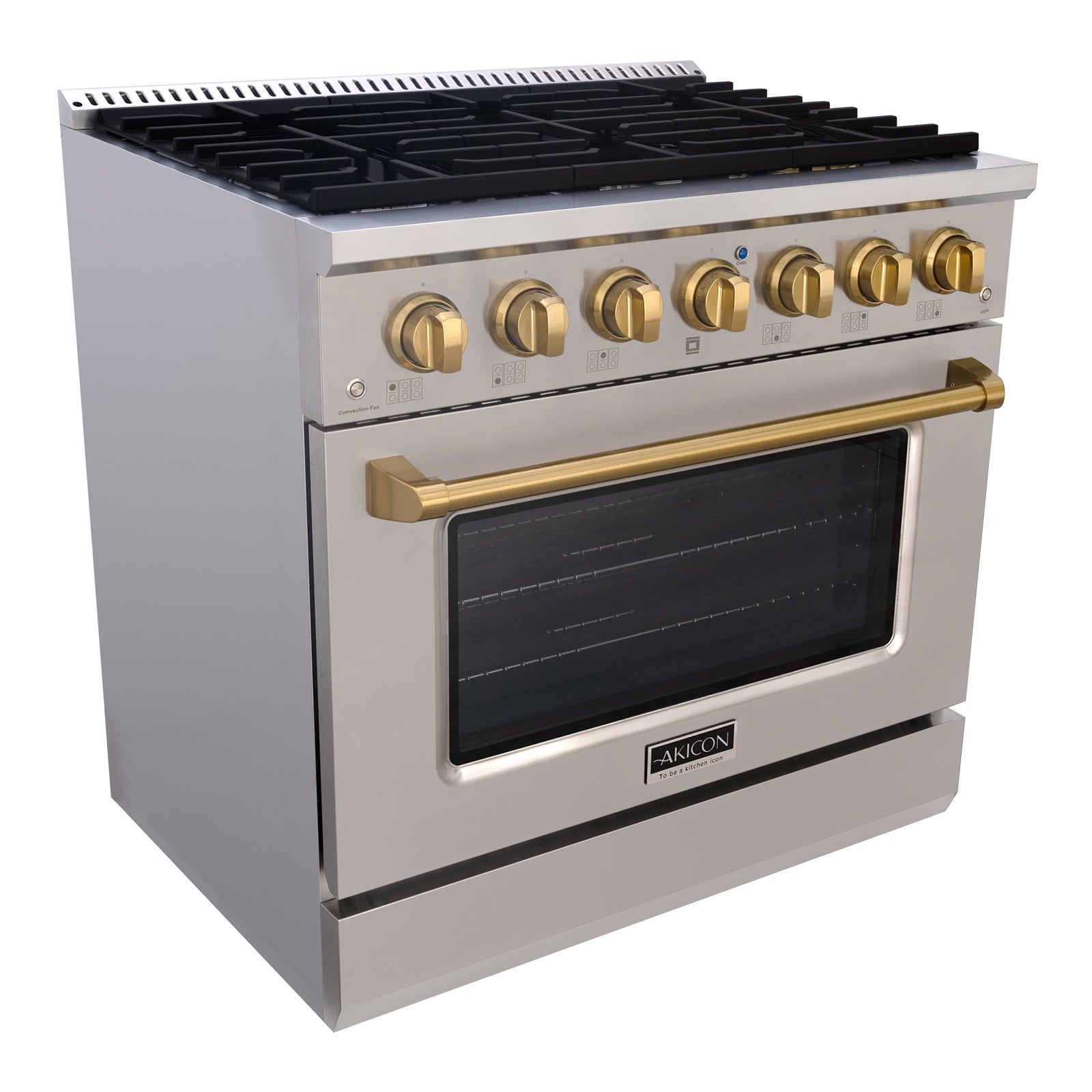 Stainless Steel Gas Range