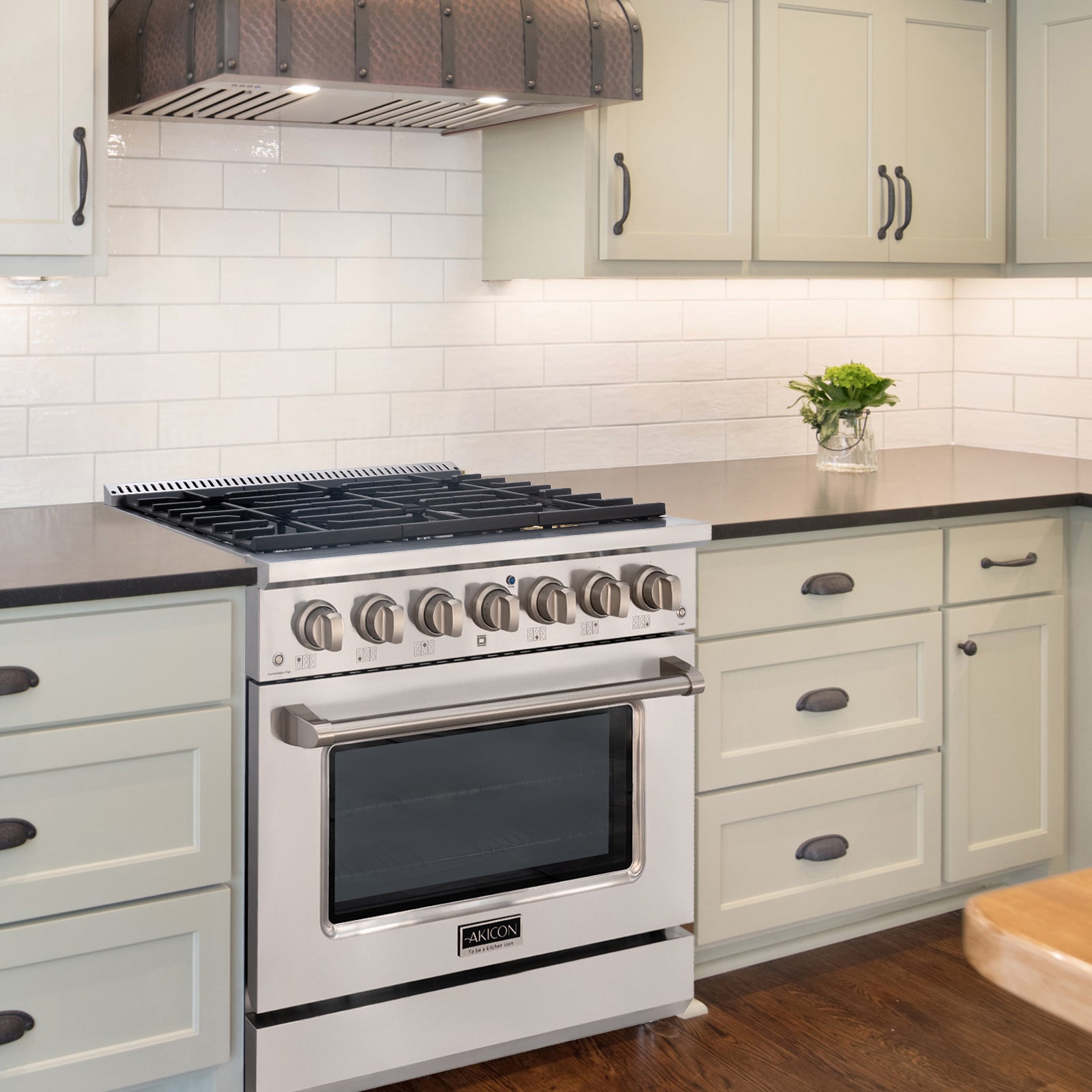 Stainless Steel Gas Stove
