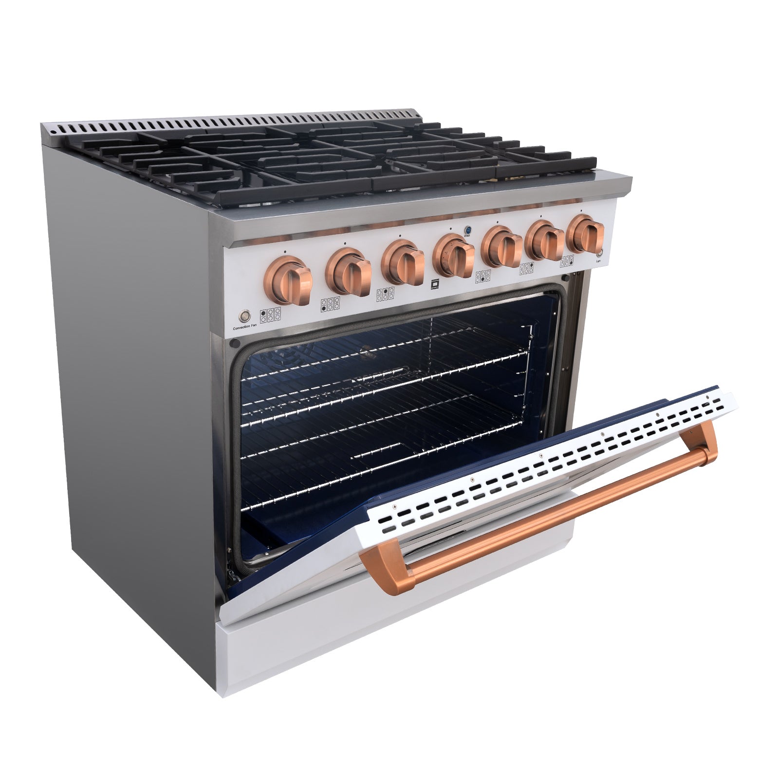 Kitchen Gas Range
