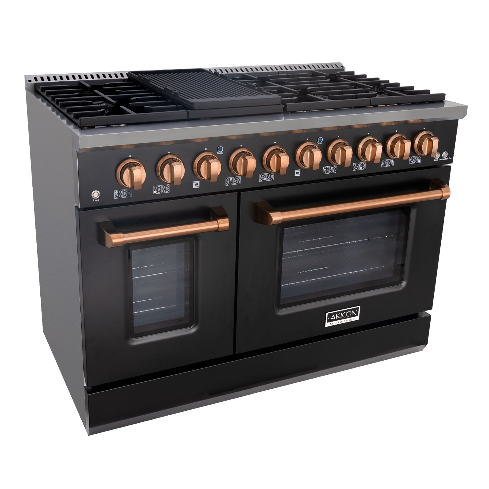 Stainless Steel Gas Range