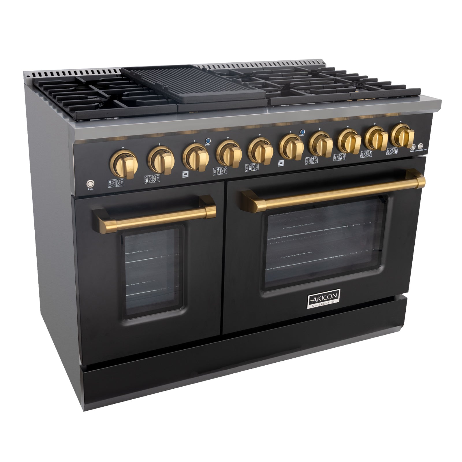 Stainless Steel Gas Range