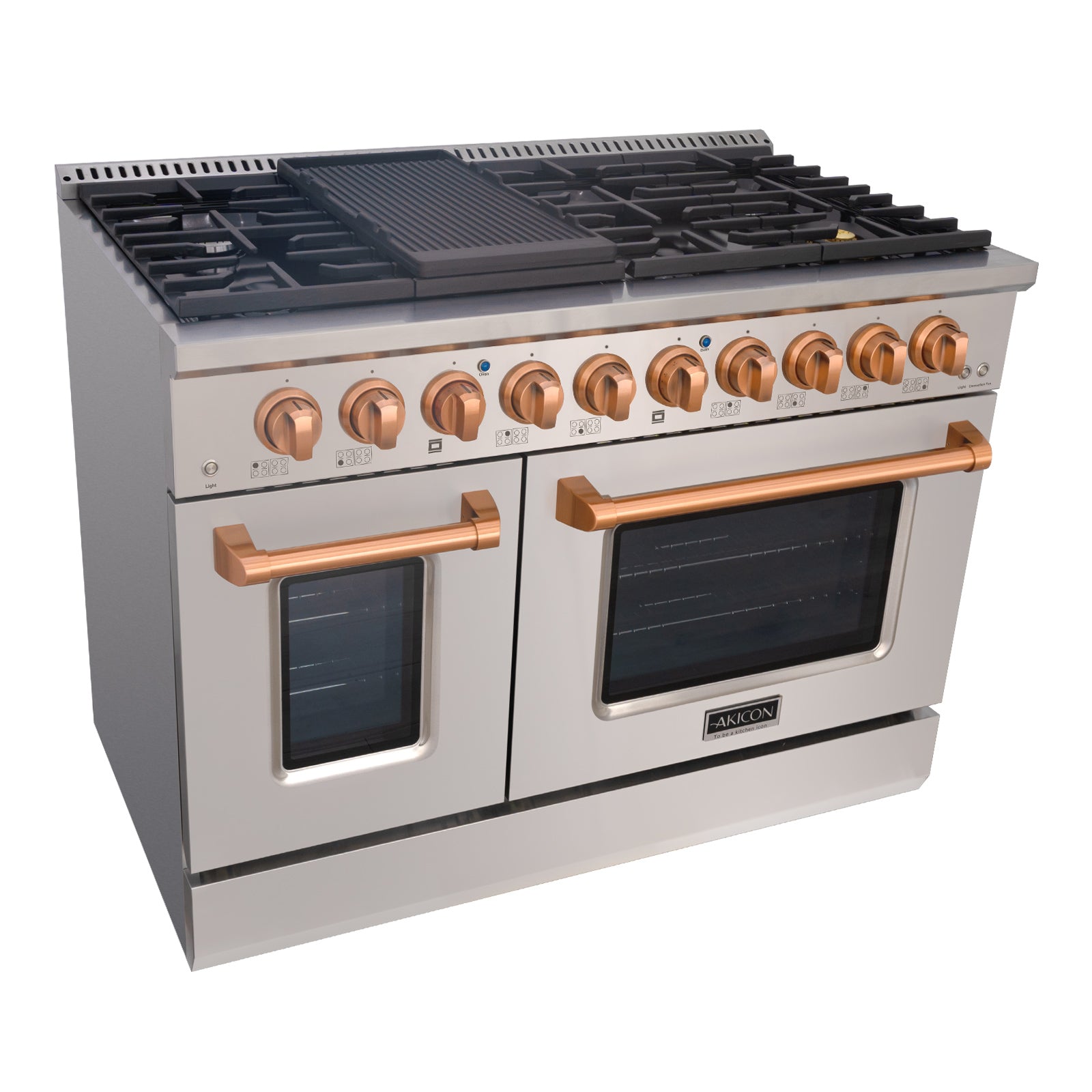 Stainless Steel Gas Range