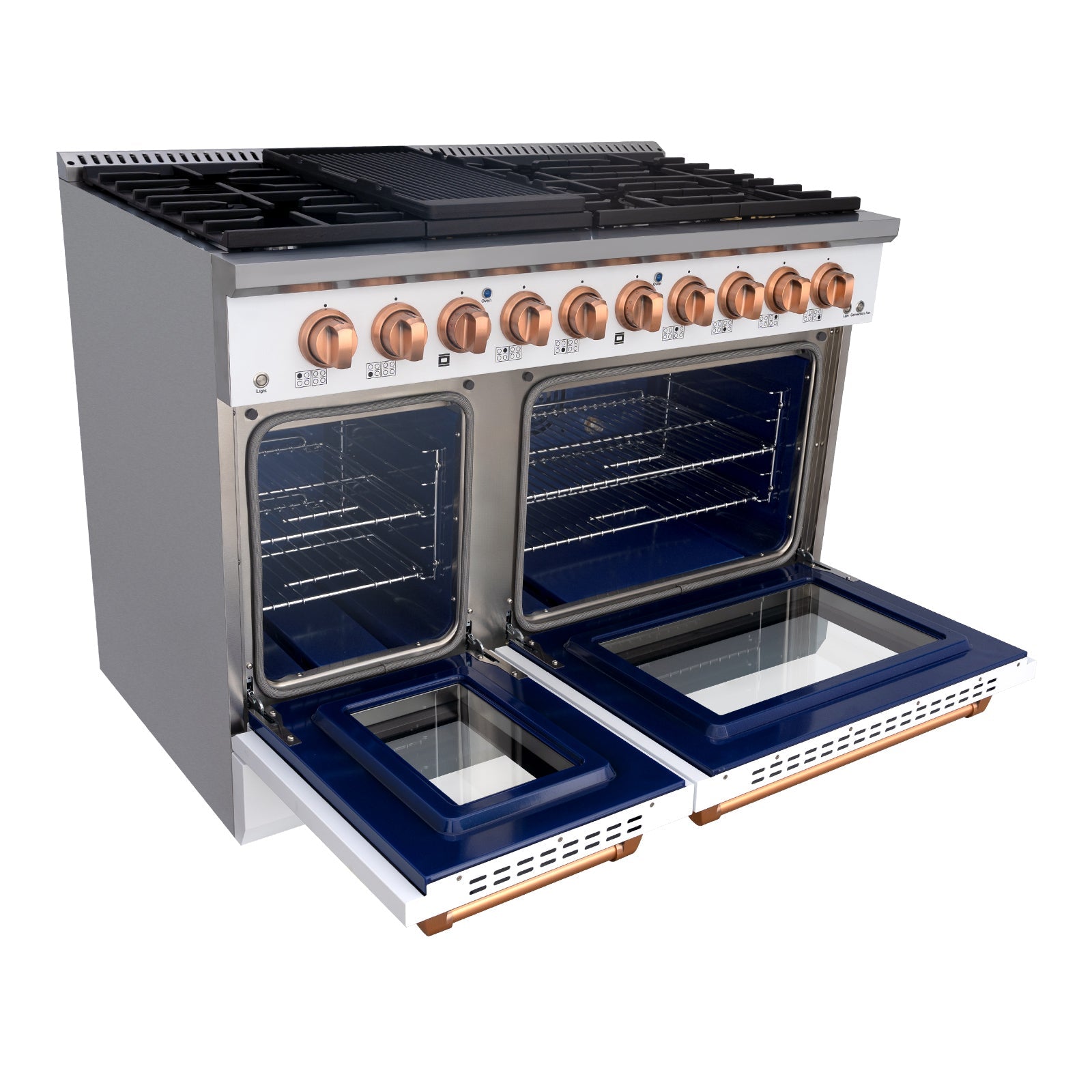 Stainless Steel Gas Range