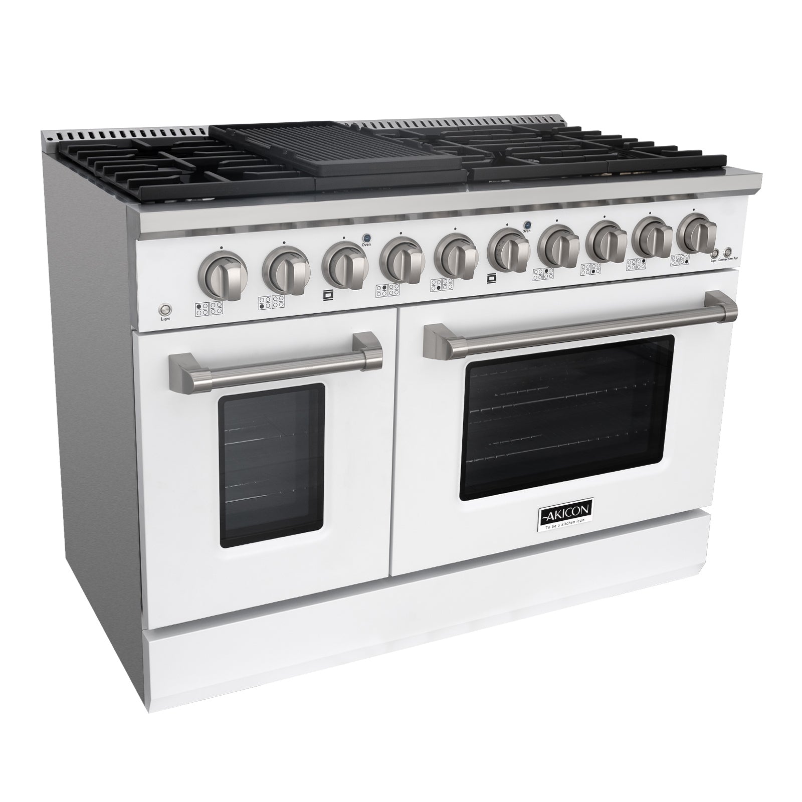Stainless Steel Gas Range