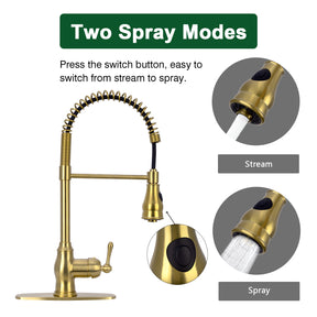 Brushed Gold Pre-Rinse Spring Kitchen Faucet, Single Level Solid Brass Kitchen Sink Faucets with Pull Down Sprayer - AK96518-BTG