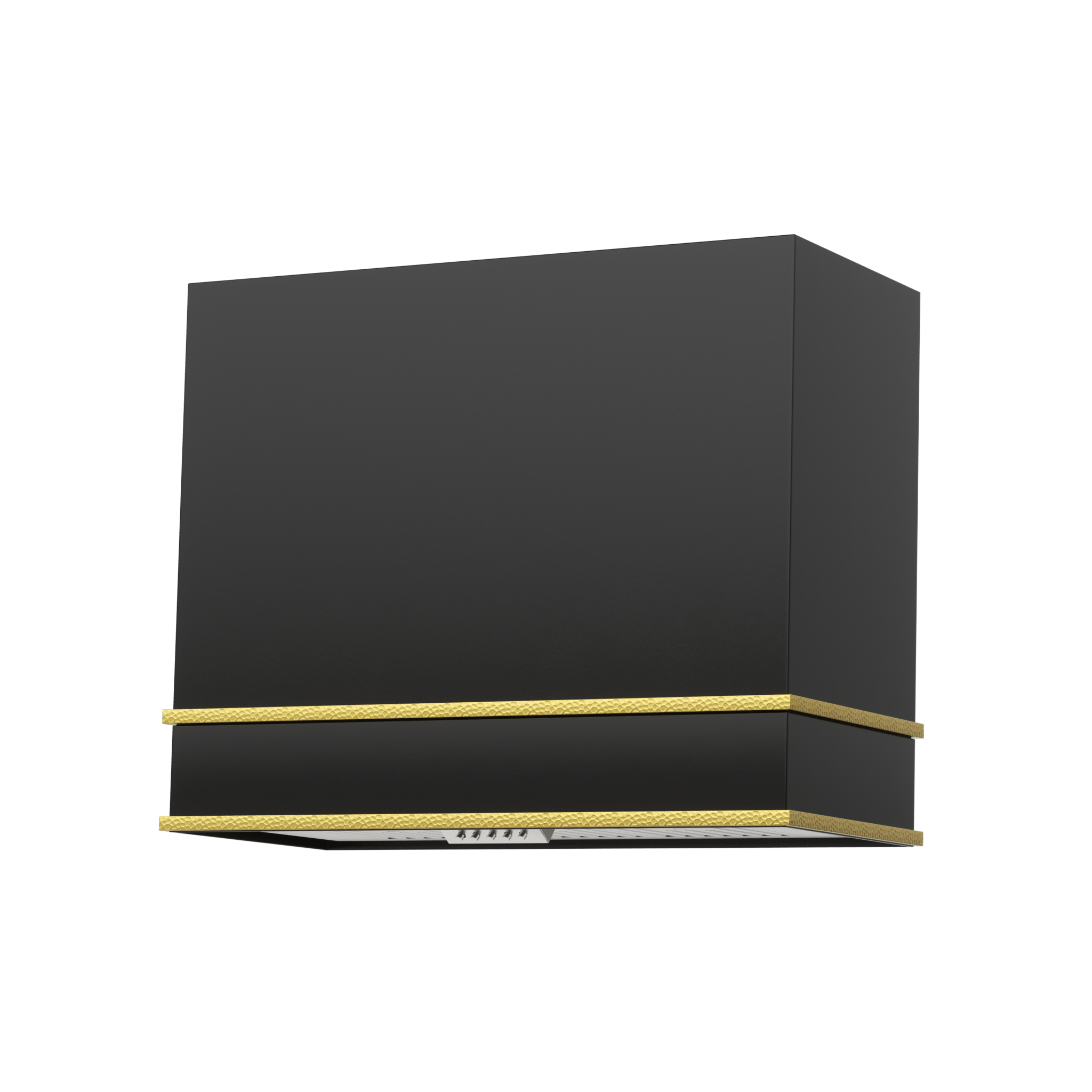 stainless-range-hood-wall-mount-modern