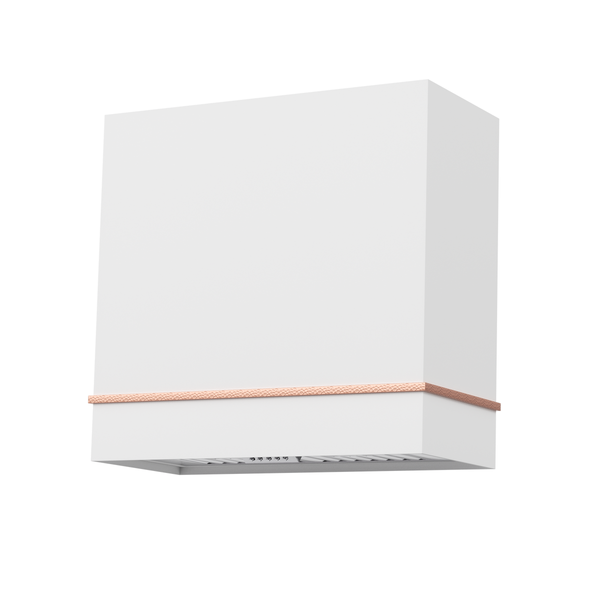 30" Single-Band Stainless Steel Range Hood with Copper Trim