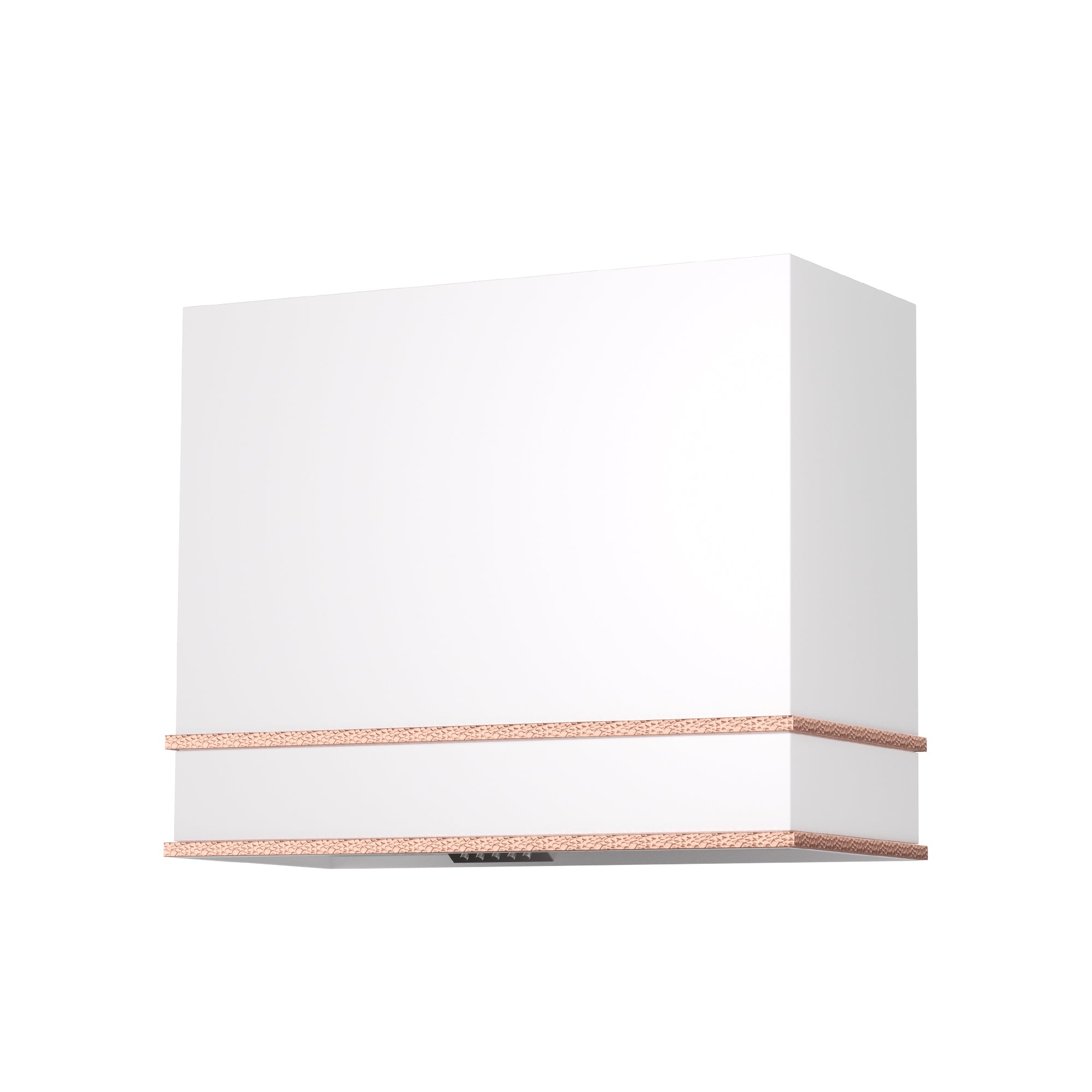 stainless-steel-convertible-range-hood