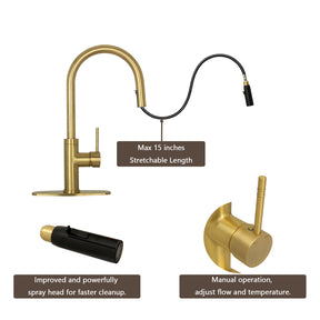 Brushed Gold Pull Out Kitchen Faucet with Deck Plate, Single Level Solid Brass Kitchen Sink Faucets with Pull Down Sprayer-AK96416BTG