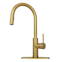 Brushed Gold Pull Out Kitchen Faucet with Deck Plate, Single Level Solid Brass Kitchen Sink Faucets with Pull Down Sprayer-AK96416BTG