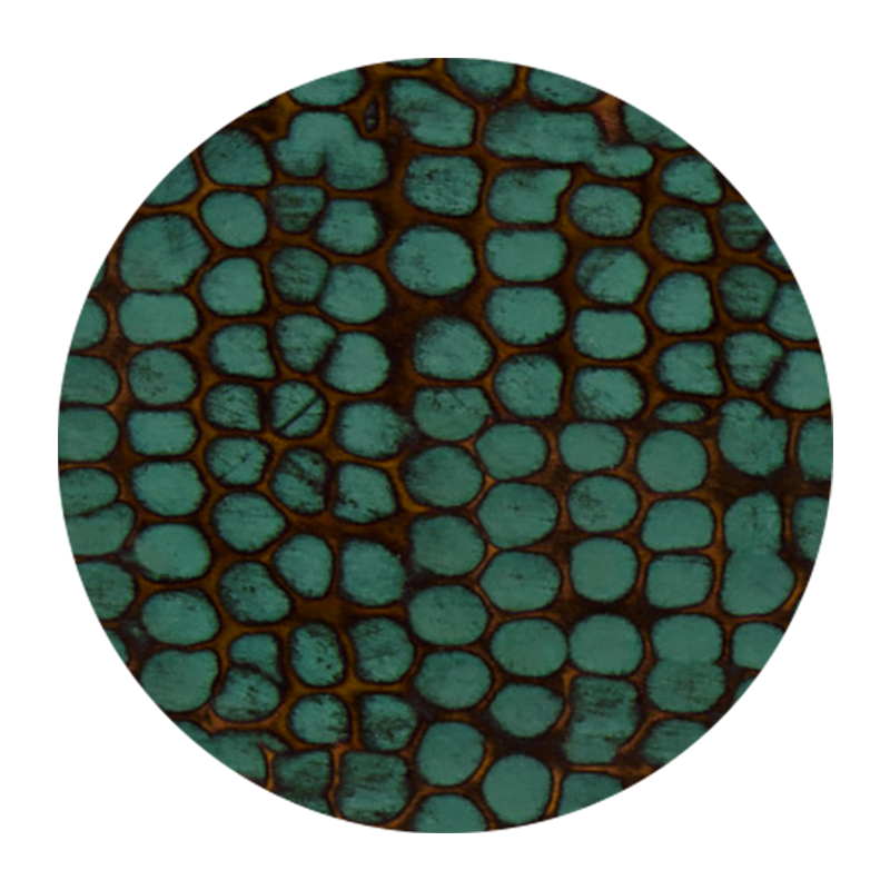 Akicon Turquoise Hood Hammered Sample